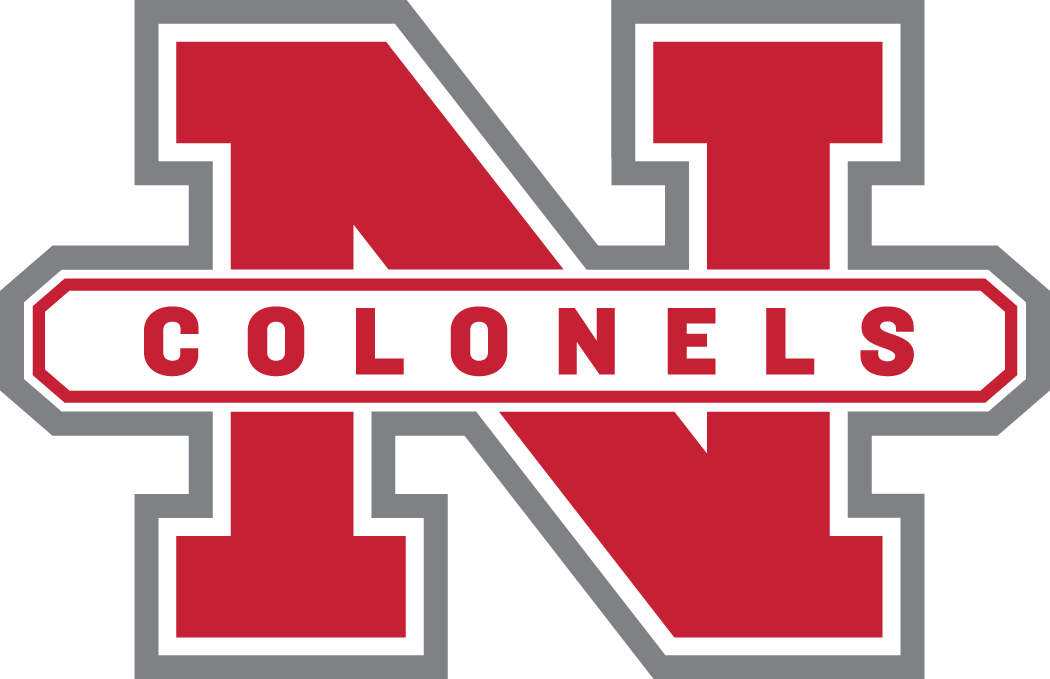 Nicholls State Colonels 2009-Pres Alternate Logo DIY iron on transfer (heat transfer)